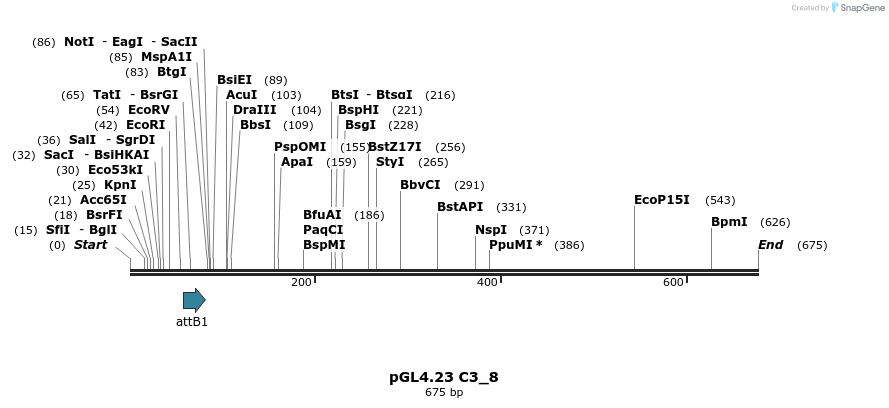 97981_map