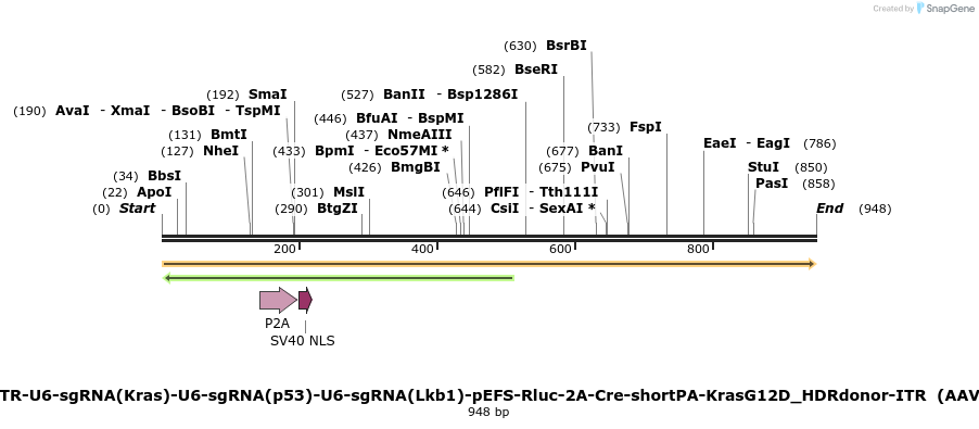 97982_map