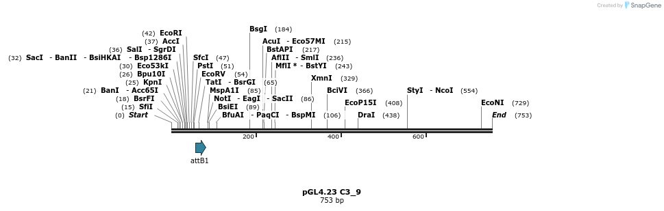 97983_map