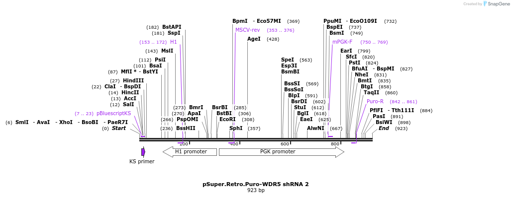 97984_map