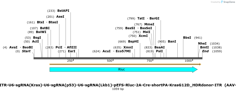97987_map