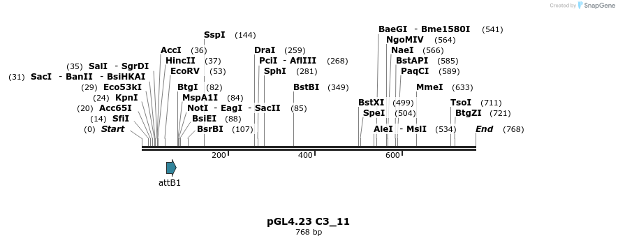 97988_map