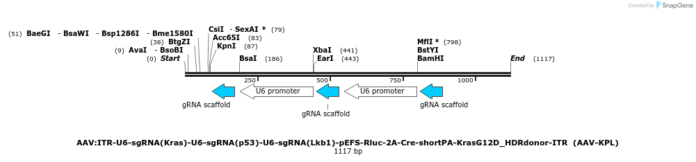 97990_map