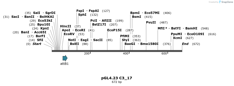 97992_map