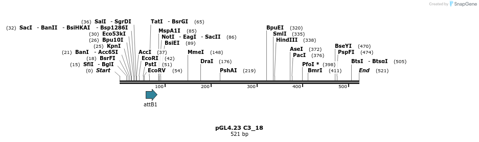 97994_map