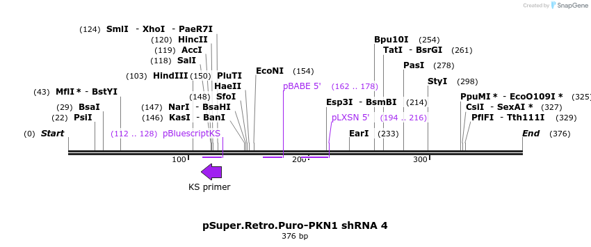 97998_map