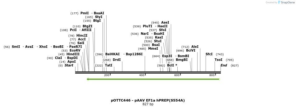 98001_map