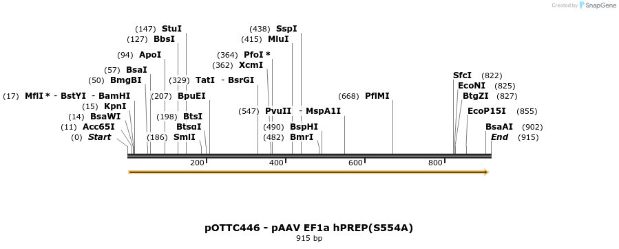 98002_map