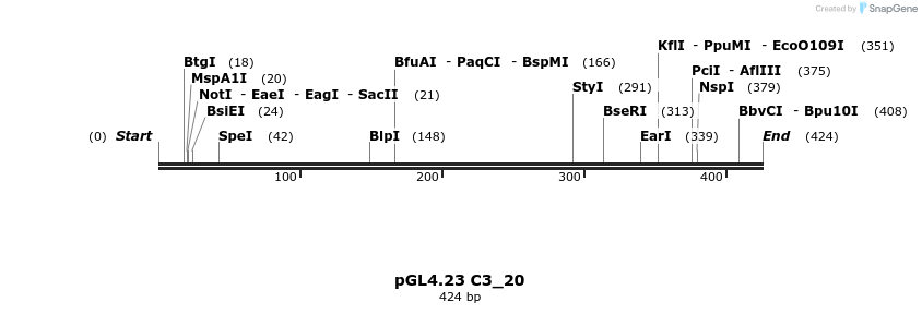 98004_map