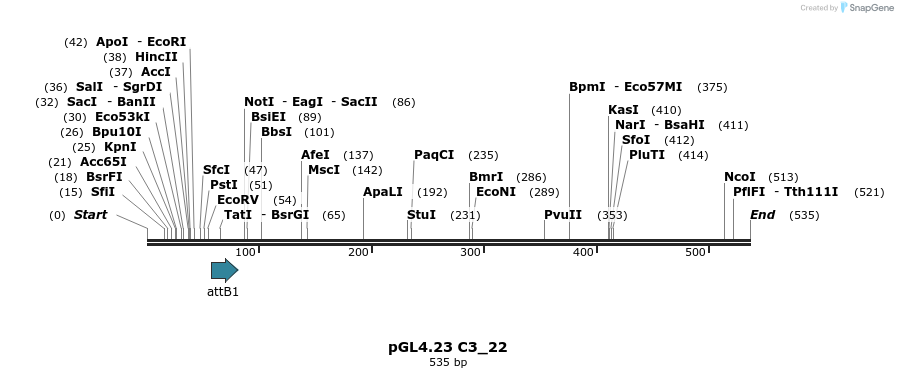 98005_map