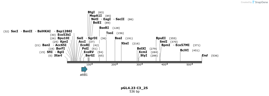 98006_map
