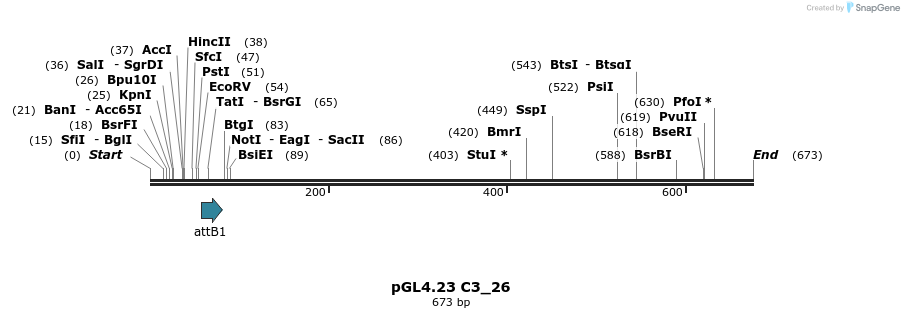 98007_map