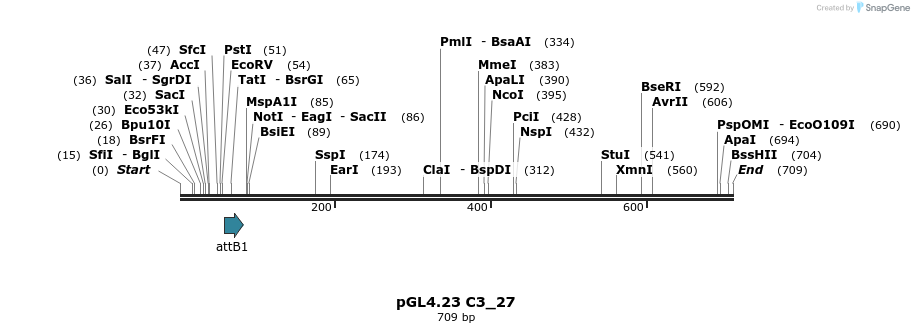 98008_map