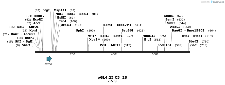 98009_map