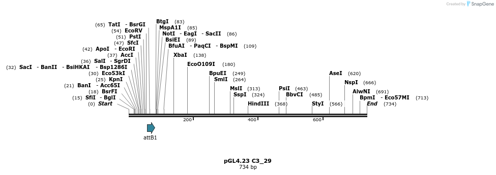 98010_map