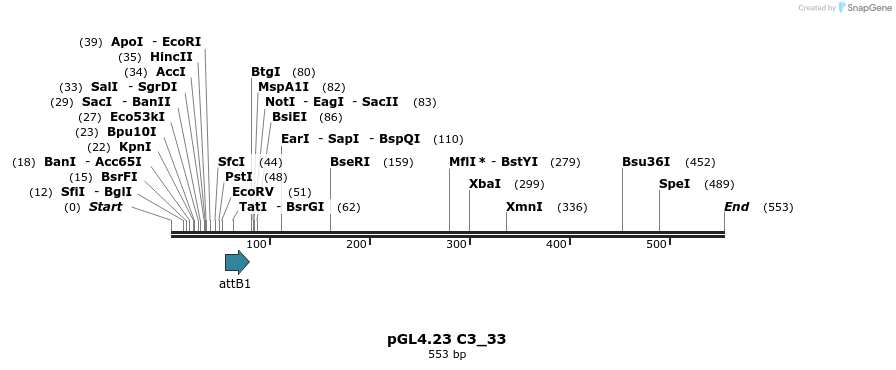 98013_map