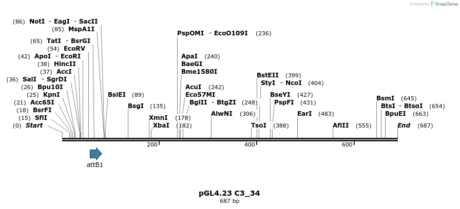 98017_map