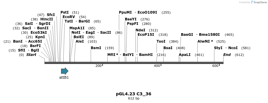 98018_map