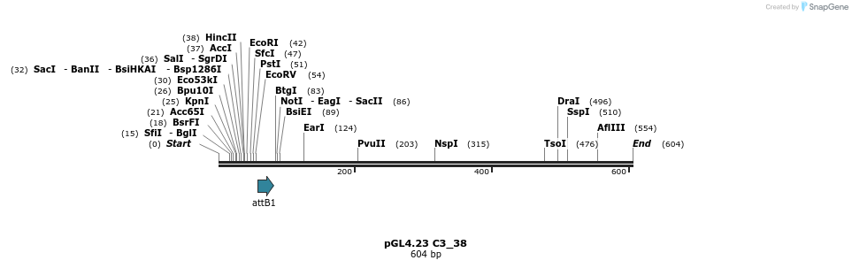 98020_map