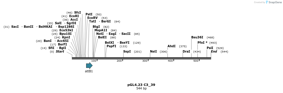 98021_map