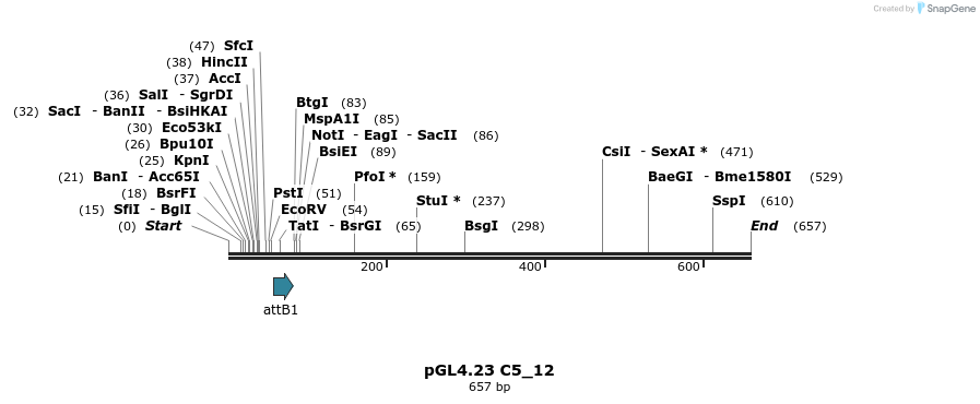 98022_map