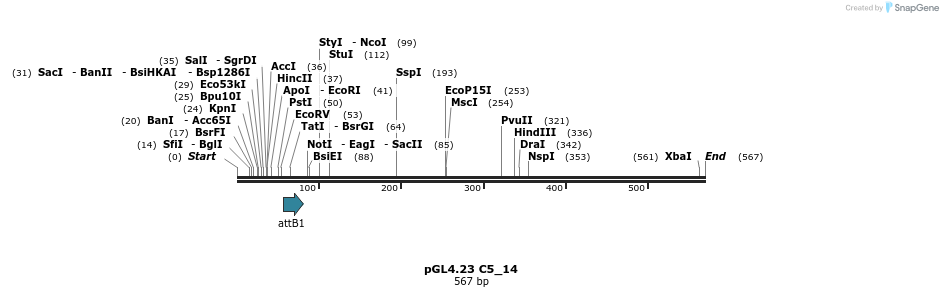 98023_map