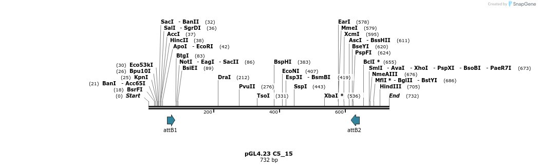 98024_map