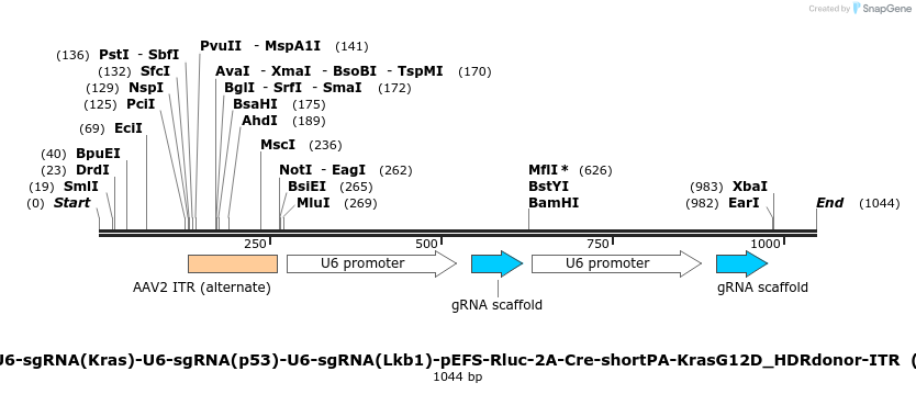 98025_map