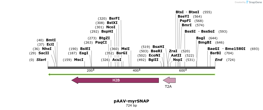 98027_map