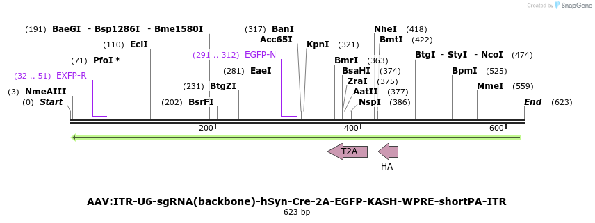 98031_map
