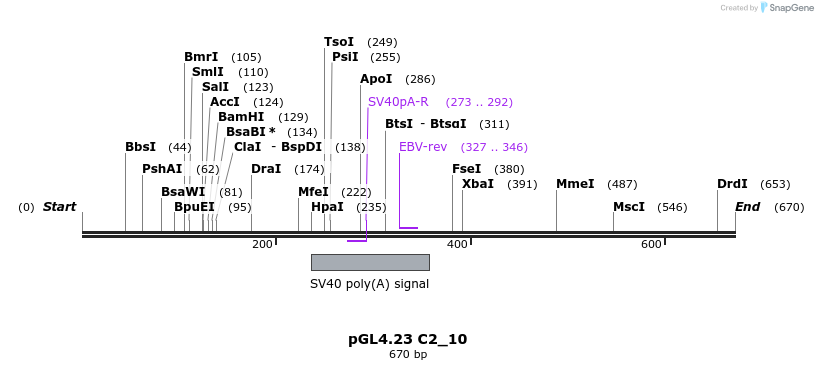 98032_map