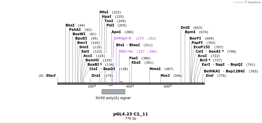 98034_map