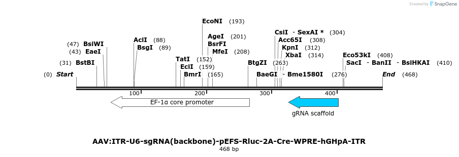 98036_map