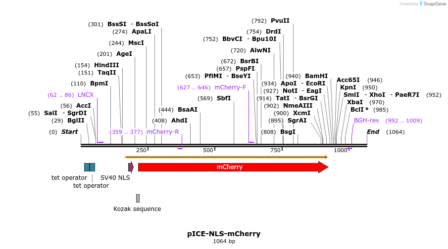98038_map