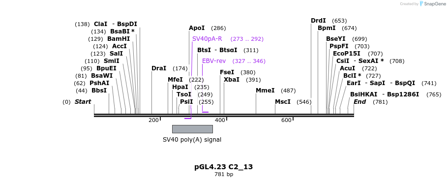 98044_map
