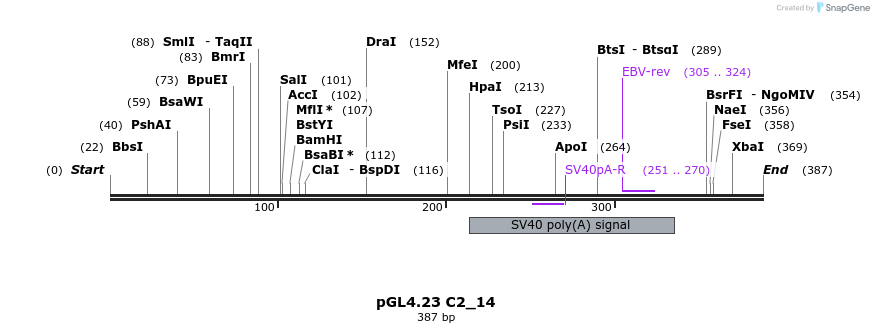 98046_map