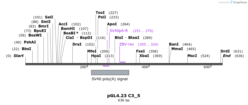 98048_map