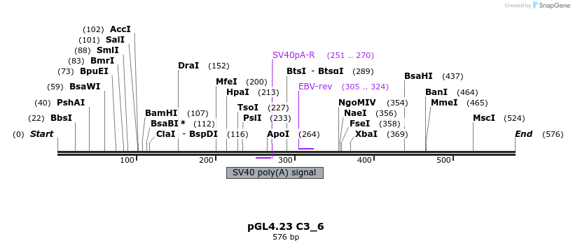 98049_map