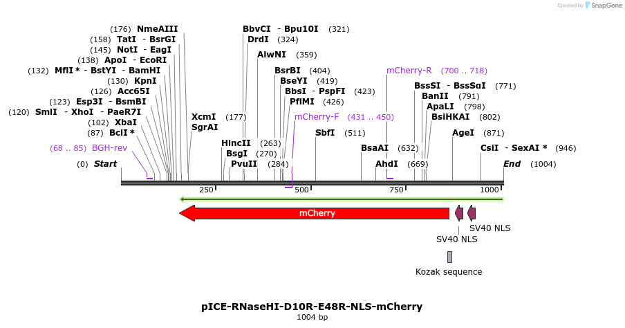98050_map