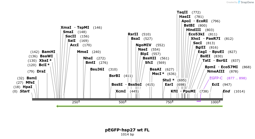 98052_map