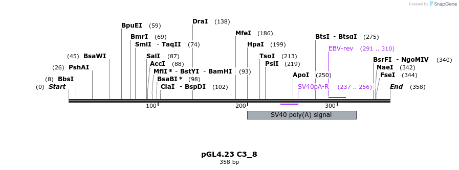 98053_map
