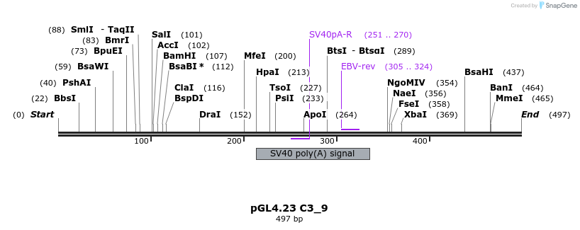 98054_map