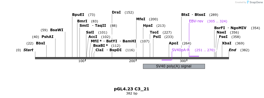 98056_map