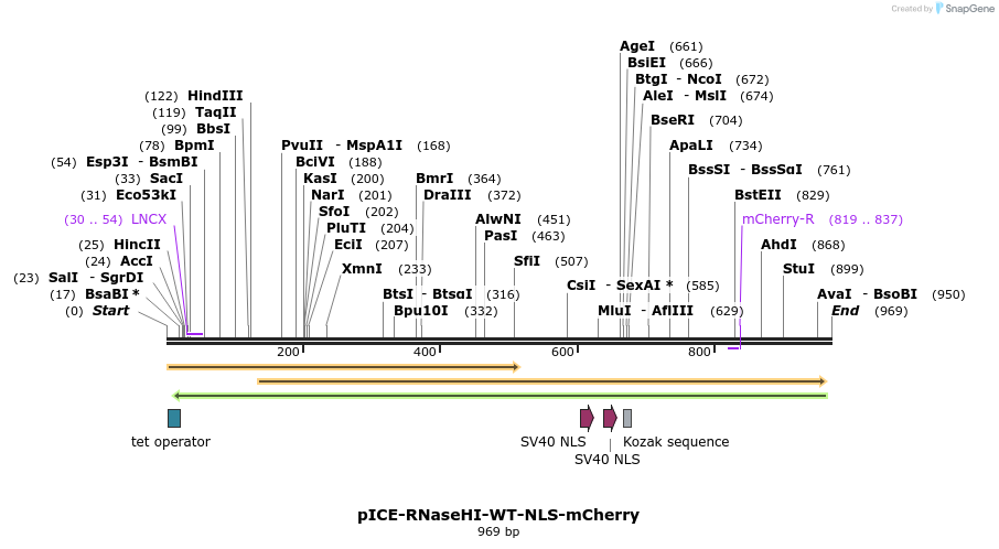 98058_map