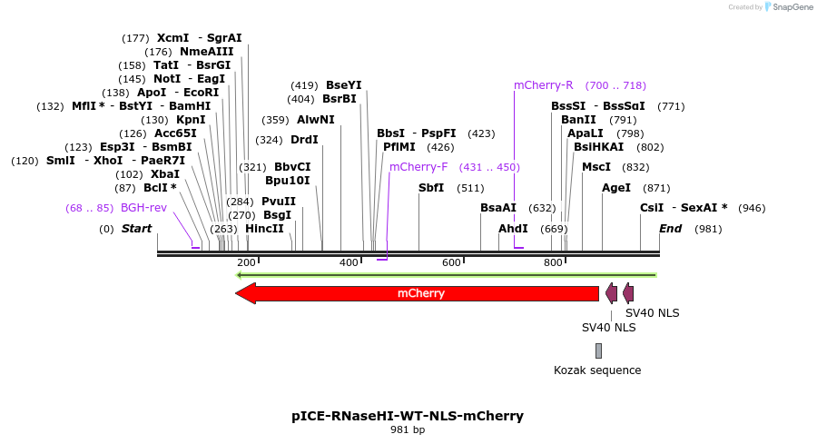 98060_map