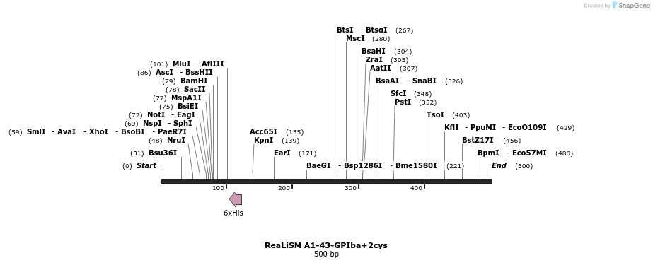 98062_map