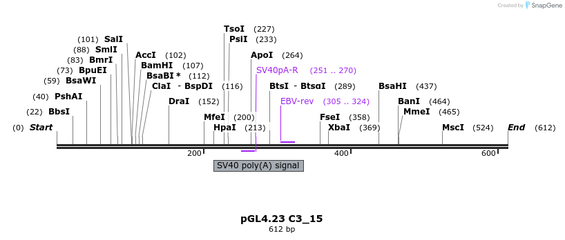 98063_map