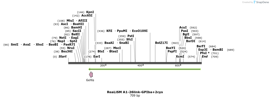 98064_map