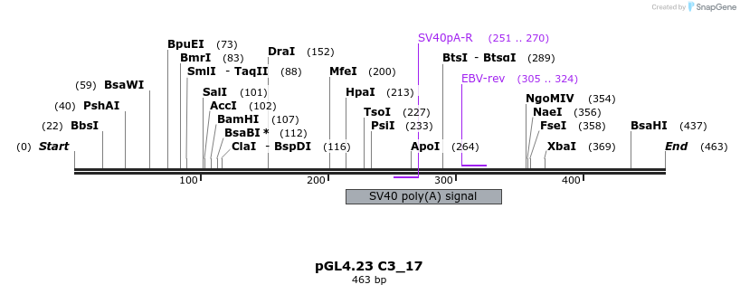 98065_map