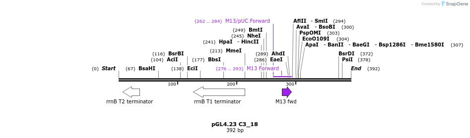 98066_map